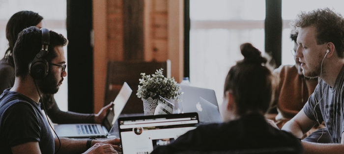 Several people with laptops working together